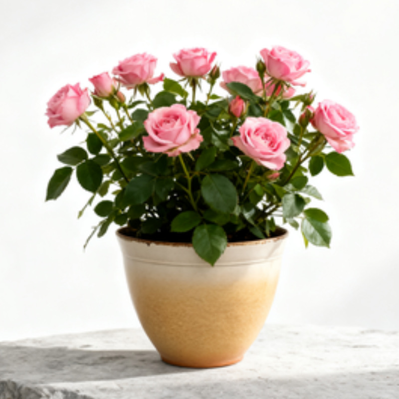 Foreign Trade Cross-Border Factory Flower Pot Plastic Light Luxury High-End Household Four-Season Flower Pot Resin Durable Breathable Flower Pot