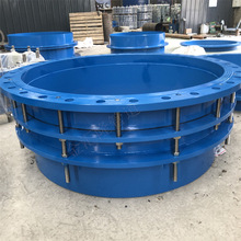 厂家BF型单法兰限位伸缩接头 法兰式伸缩接头 伸缩接头型号