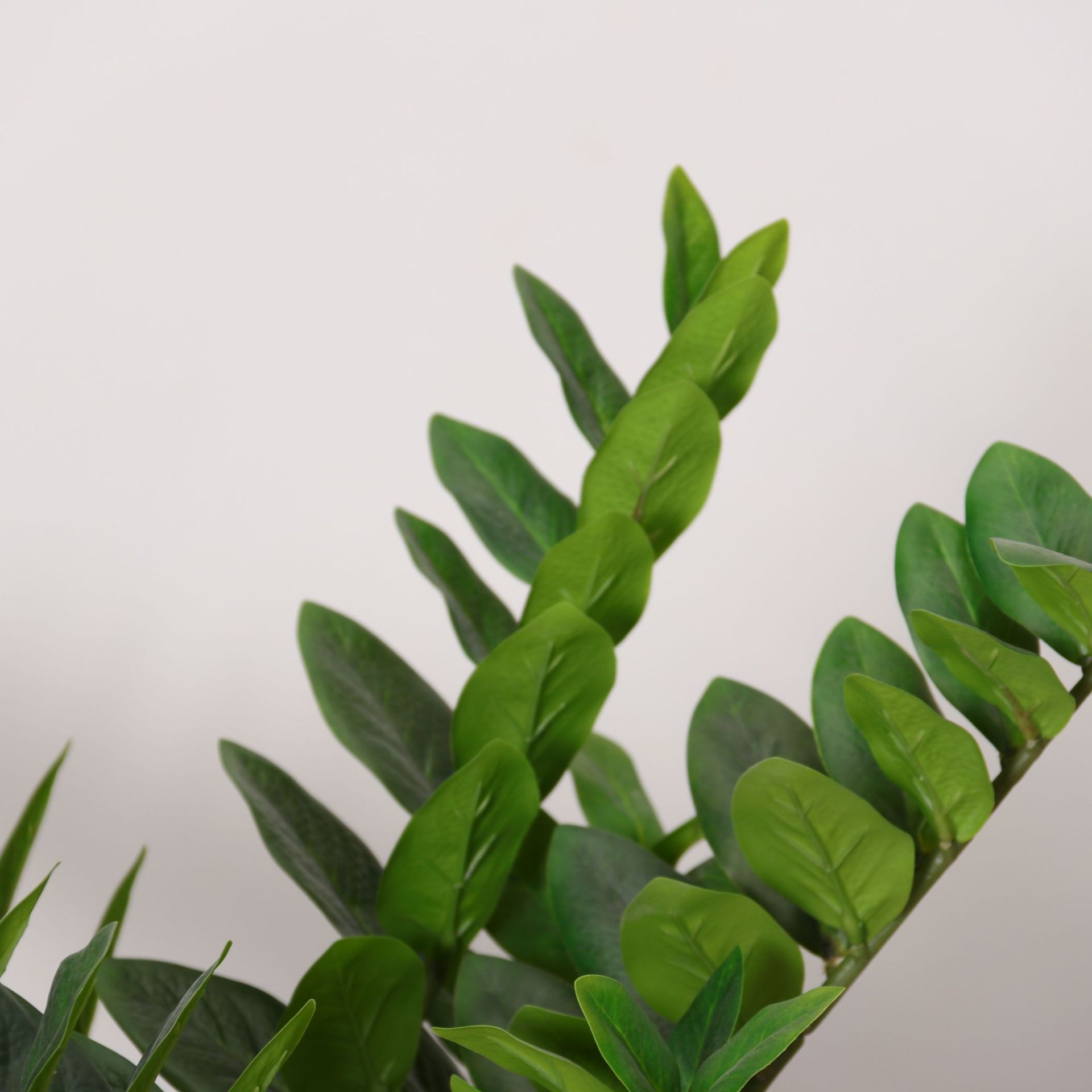 Simulación de plantas verdes, hojas de dinero, plantas en macetas, sala de estar, decoración del suelo para el hogar, bonsái de plantas biónicas de eucalipto