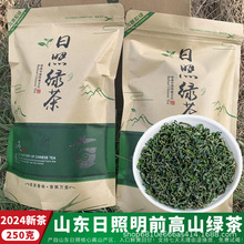 新茶日照绿茶正宗山东明前春茶嫩芽高山雨雾毛尖绿茶茶叶