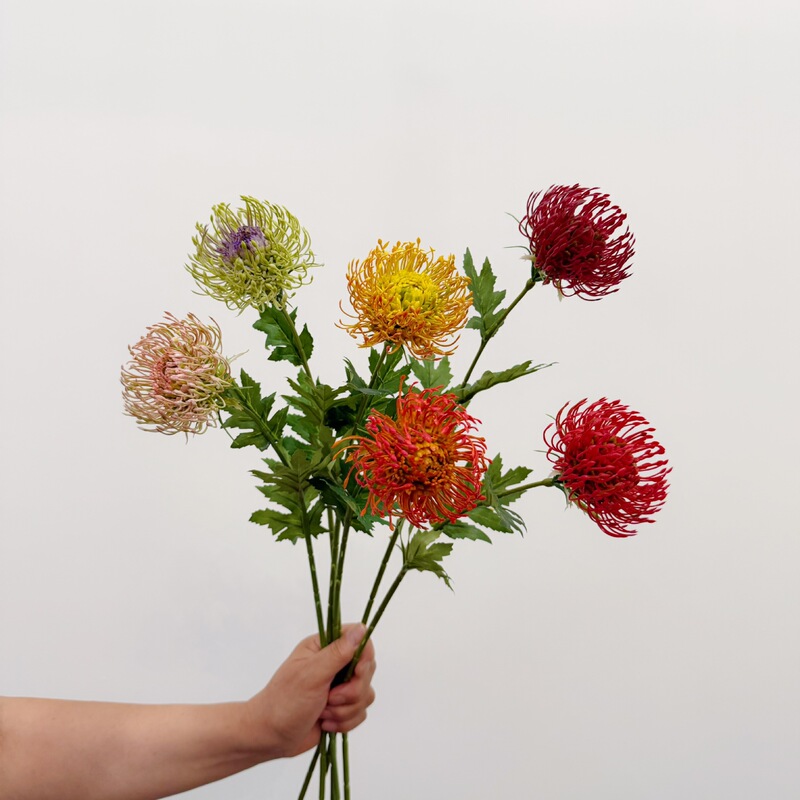 Artificial South African Needle Cushion Flowers, Fireworks Chrysanthemums, Wedding Ceiling Flowers, Home Decoration, Flame Chrysanthemums, Amazon Cross-Border Exclusive Artificial South African Needle Cushion Flowers, Fireworks Chrysanthemums, Wedding Ceiling Flowers, Home Decoration, Flame Chrysanthemums, Amazon Cross-Border Exclusive