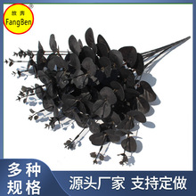 �����ɫ�ȼ����ٻ��Ҿ��bzӰ���X���~���滨�Gֲ�ȼ����~