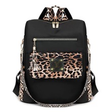 �߼���С���OӋŮ����������2025�������K���y�¿���������p���