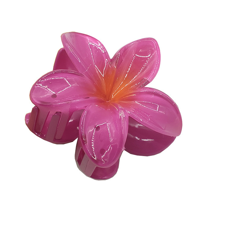 国境を越えたアマゾンの卵の花がグラデーションの花のキャンディー色の紫荊花の後頭部をつかんでサメの花を挟んで髪を伸ばします。|undefined