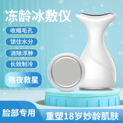 国境を越えた家庭用冷却リフティングマッサージ美顔器、顔用冷湿布、小型アイスハンマー、目のむくみ解消用冷湿布器