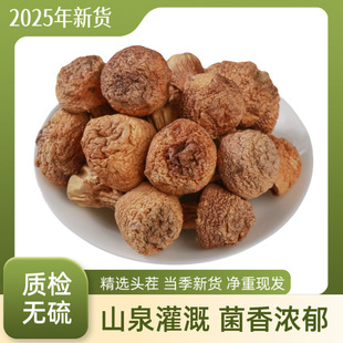 �����׸�؛����خa���x�ؼ�������Ұ�������׹�500�����l