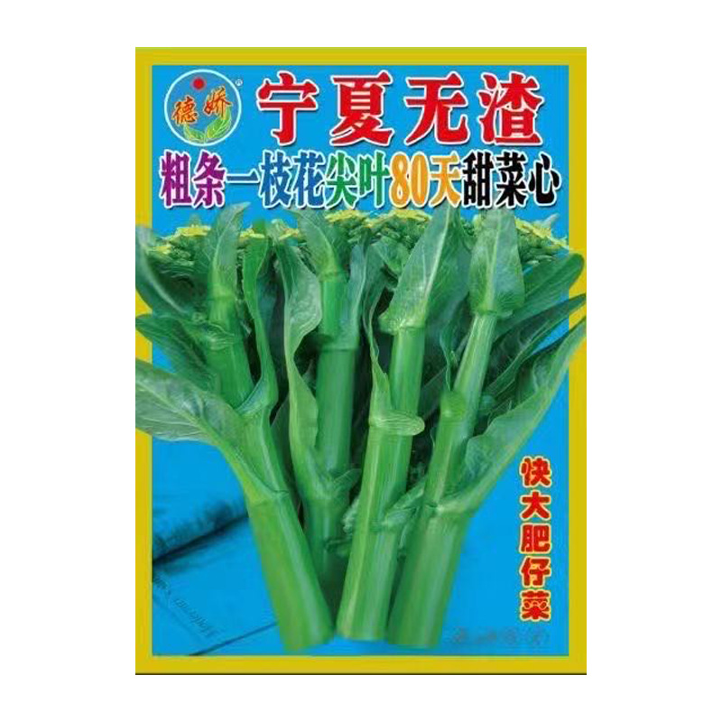 批发蔬菜种子20克德娇宁夏无渣粗条一枝花尖叶80天甜菜心种子