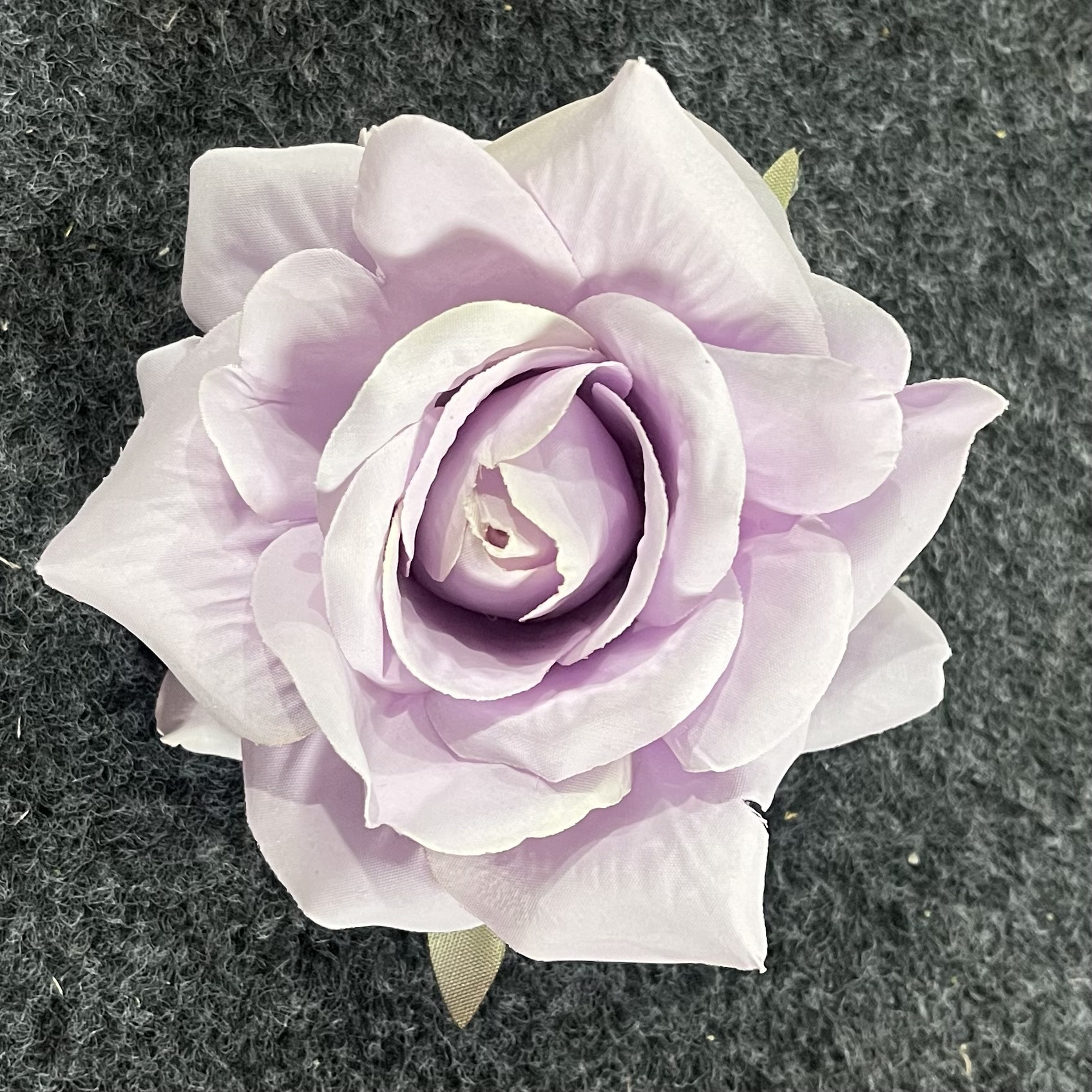 보라색