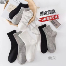 ���������п�̿��ļ����Ӵ����ﶬ͸���������˶�������