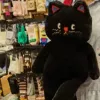 Spot cat [Black]