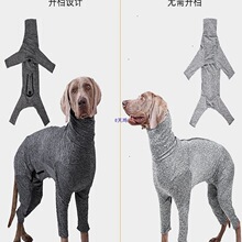 �����·����_ȫ��С�����ʹ���Ȯ��ë����؈�䌙��Ҿӷ�����ë��