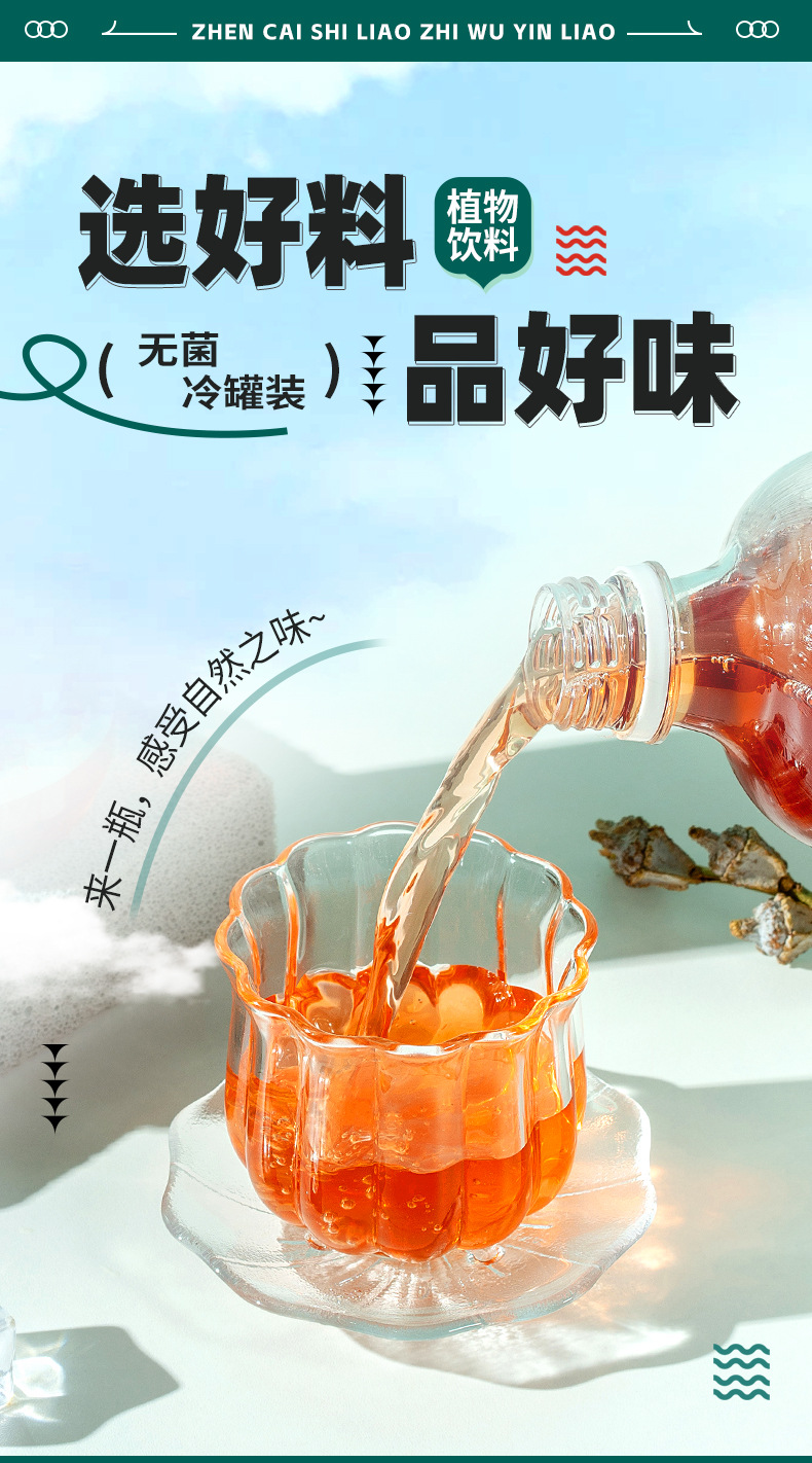 Hawthorn & Chicken Gizzard Lining Compound Drink (Shan Zha Ji Nei Jin) — 500ml Herbal Fruit Beverage key features