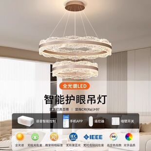 Italian Light Luxury Living Room Ceiling Lamp 2025 New Full Spectrum Eye Protection Hall Lamp