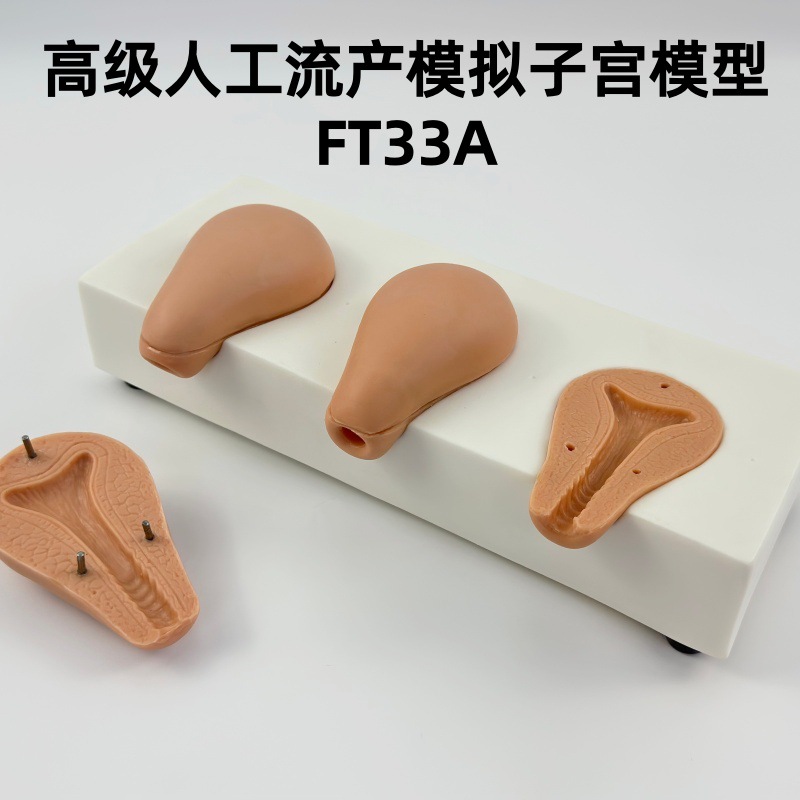 �߼��˹�����ģ���ӹ�ģ�� 3��ģ���ӹ����� ������ѵ���̾�FT33A