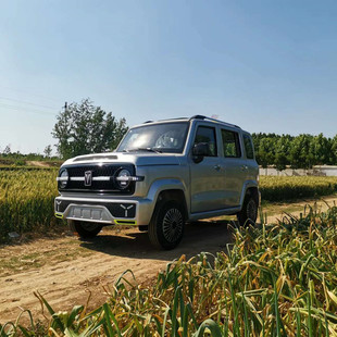 四輪越野電動四輪車成人家用代步油電兩用電瓶車