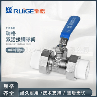 ���PPR�p������y�����¿�313�ȏ��F���ܷ�|Ƭ�S�~�ք�ˮ�y�_�P
