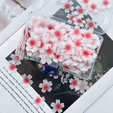 Ŵ�׼��������������ǿհ����ǹ�ˮ�����b��ü��ѻ��決�bD��