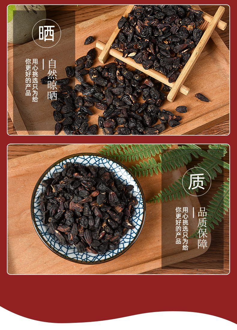 Ci Wu Jia Seeds (Eleutherococcus senticosus) — Dried Food Herb, 500g Bulk in use