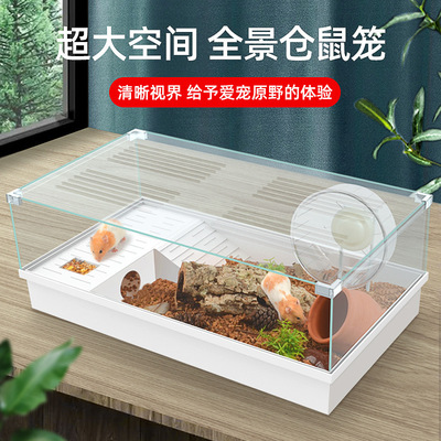 Hamsters cage transparent 60 Basics Watkins Bear space villa Clear Guinea pigs Glass Terrariums