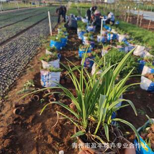 ��������� �������޸����܈@�־G�� �ر��G�����ܳ��G���