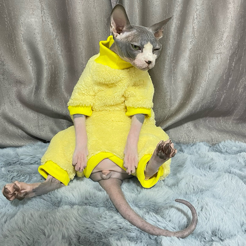 Hair-less Cat Clothes Thickened Belly Protecting Four-legged Clothes Sphinx Cat German Autumn and Winter Clothes Double-sided Velvet for Wear