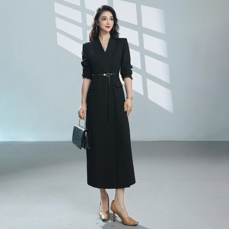 Formal Occasion Elegant Dress for Women 2026 Autumn New Style Light Luxury High-End Slimming Professional Wear Long Skirt