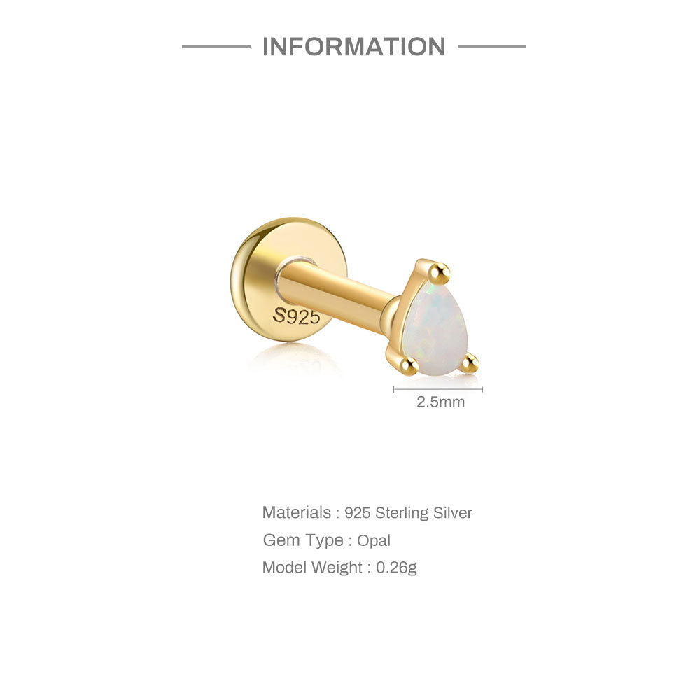 Fashion Square Water Droplets Paw Print Silver Inlay Zircon Ear Studs 1 Piece display picture 4