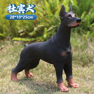 ���Q�����o�B���ﹷ��ģ��С�����Ÿ߲�Ȯ̫�ͽ�ë�»�����Ȯ���l