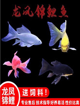 �N���P�\�����~�Lβ���w�׽���B�ͻ���ˮ�~�Lˮ�~�S�����P�\��