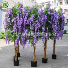 �̈��b������ٻ������� ���滨���������b[�����涹����