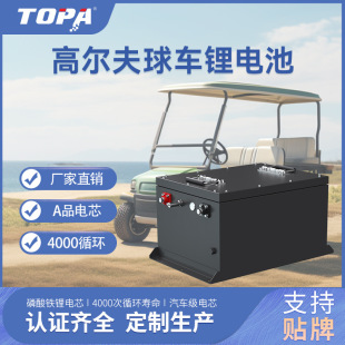 48V動力電池旅游電動觀光巡邏車電瓶高爾夫球車磷酸鐵鋰電池組