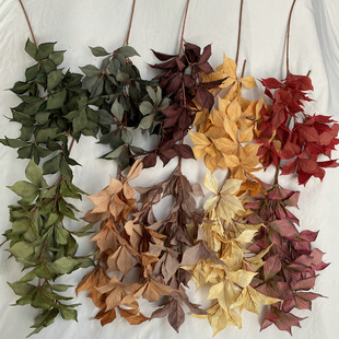 �S�����l�Lֻƽ��~�¿��~�Ļ�Y�õ�픾Gֲ·���쾰�G�~�b��~