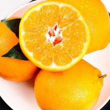 �Ĵ���Ҋ�ҰҸ̽��^����Ƥ���rˮ�����������˹�����