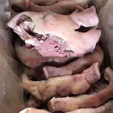 猪头肉批发新鲜冻品猪头肉猪半边脸去骨出秤高商用家用卤菜店用