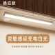 Cross-border Long Night Light Human Body Sensor Light Night Feeding Table Lamp Book Lamp Atmosphere Light Wardrobe Cabinet Light Strip