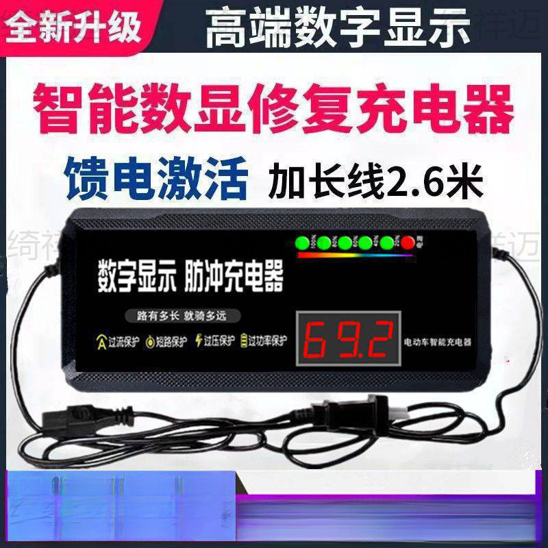 アクティブバッテリー修理装置電気自動車充電器 48V60v72v パルスメンテナンスバッテリー鉛蓄電池|undefined