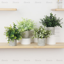 �F؛������������[���A�����{����ȼ����Gֲ�辰�羳����ֲ��