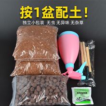 儿童种植营养土小包装泥土壤通用种花种菜多肉向日葵幼儿园小学生