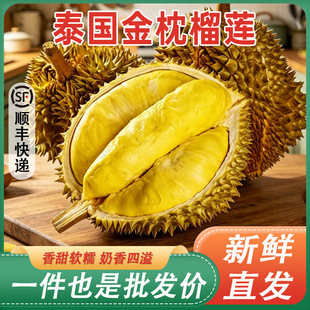 ��S�����^��ɏ���r̩���������M�����r���䎧��ˮ�������r��