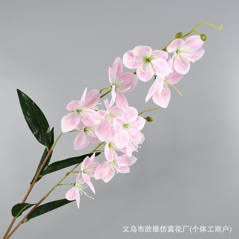 垂丝茉莉粉色