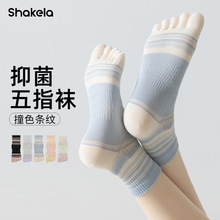 ָmŮʿımֺmƴɫW͸p\ӿoͲm