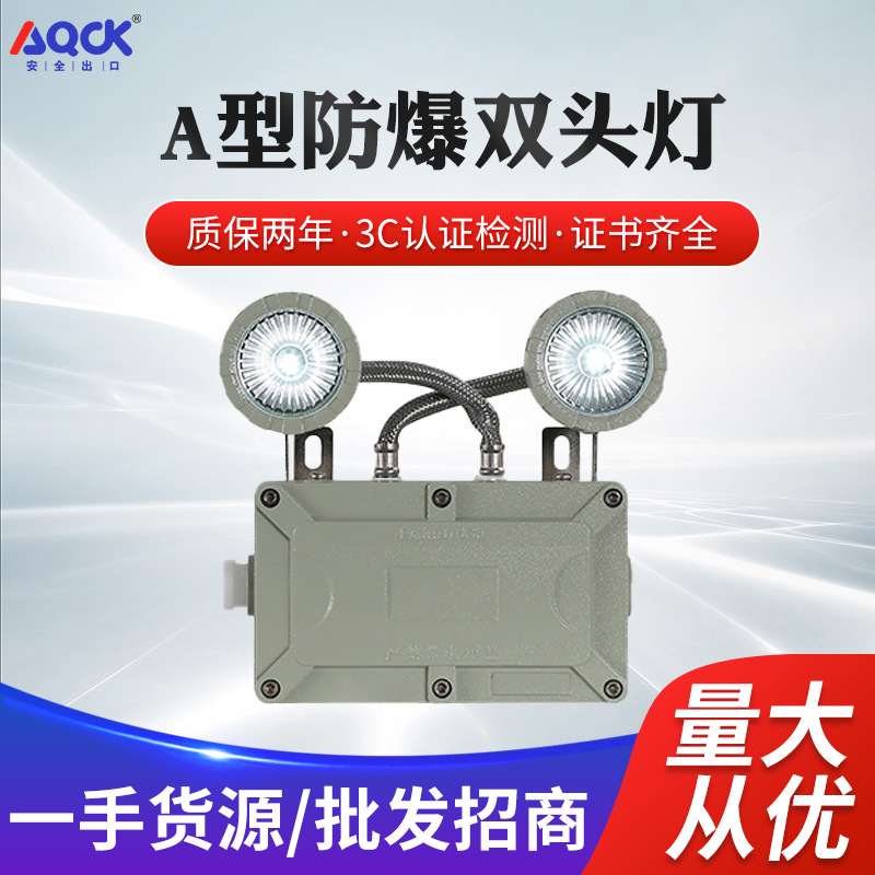 A型集中电源集中控制消防应急灯具防爆型应急照明灯防爆应急灯