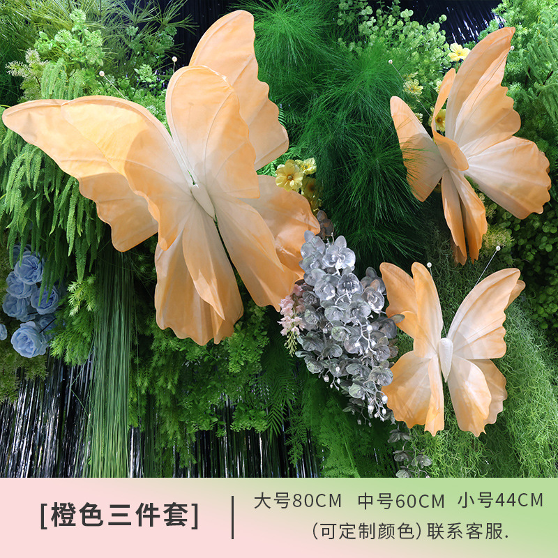 오렌지색 이중나비 [3종세트]