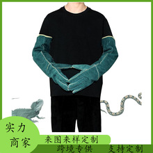 ����̎������,�������������ҧ���� �ӹ�Ƥ�ﹷӖ�����׷�؈ץ��