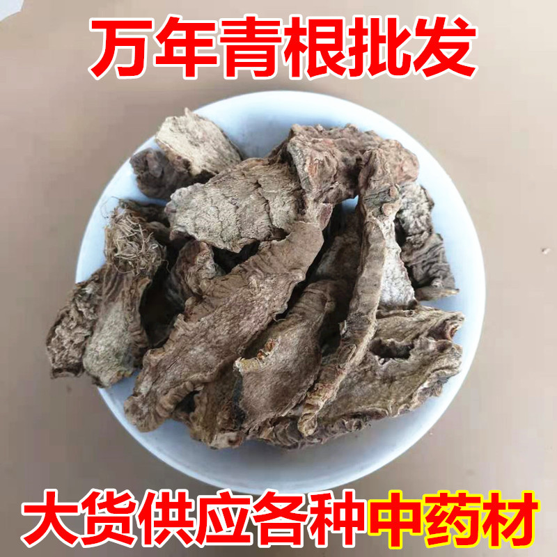 Dried Rohdea Japonica Root Wannianqing Whole Root TCM Herbal Ingredient 500g overview