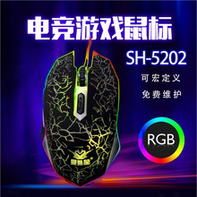 RGB�l��늸������Α����G2021�����������X�F؛�ٰl�Pӛ��̨ʽ