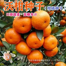 �̷ָN�����ӷN���������Ե�������ɰ�����ٳ��ӷN���ָ̽�۷Nֲ