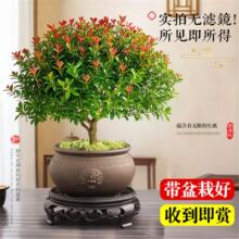 С�~����辰�k���҃�����Gֲ�����ļ����B��z�ľ�Ϙ����Դ��