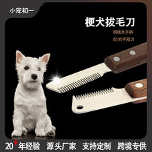 �羳���Ȯ���I����ë�����ߵ�Ȯ������ë���������p���������