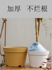 38加厚朱頂紅鬱金香矮牽牛風信子草花球根繡球矮胖透氣大花盆